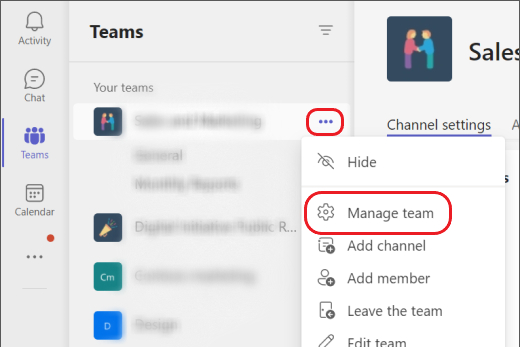Opción Administrar equipo en Microsoft Teams.