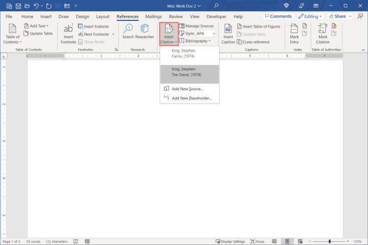 Insert Citation drop-down menu in Word.