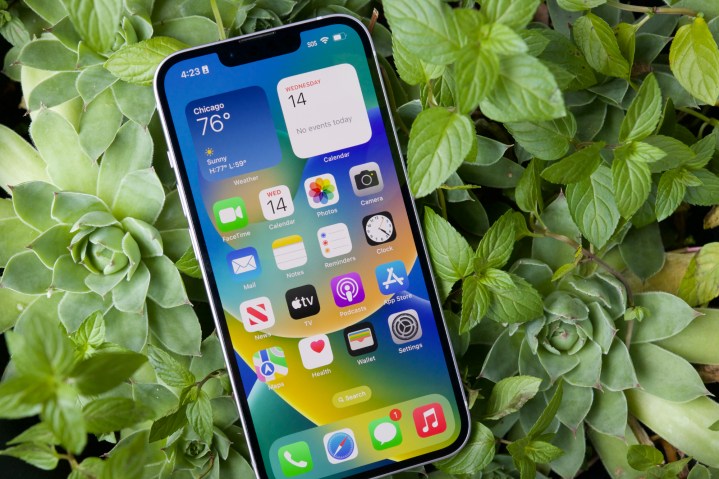 The iPhone 14 is lying on top of a succulent.  It is showing the home screen.