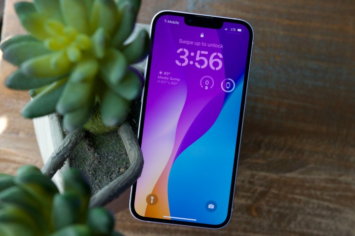 Ein iPhone 14, das auf einer Sukkulente liegt. Sein Display ist eingeschaltet und zeigt den Sperrbildschirm.