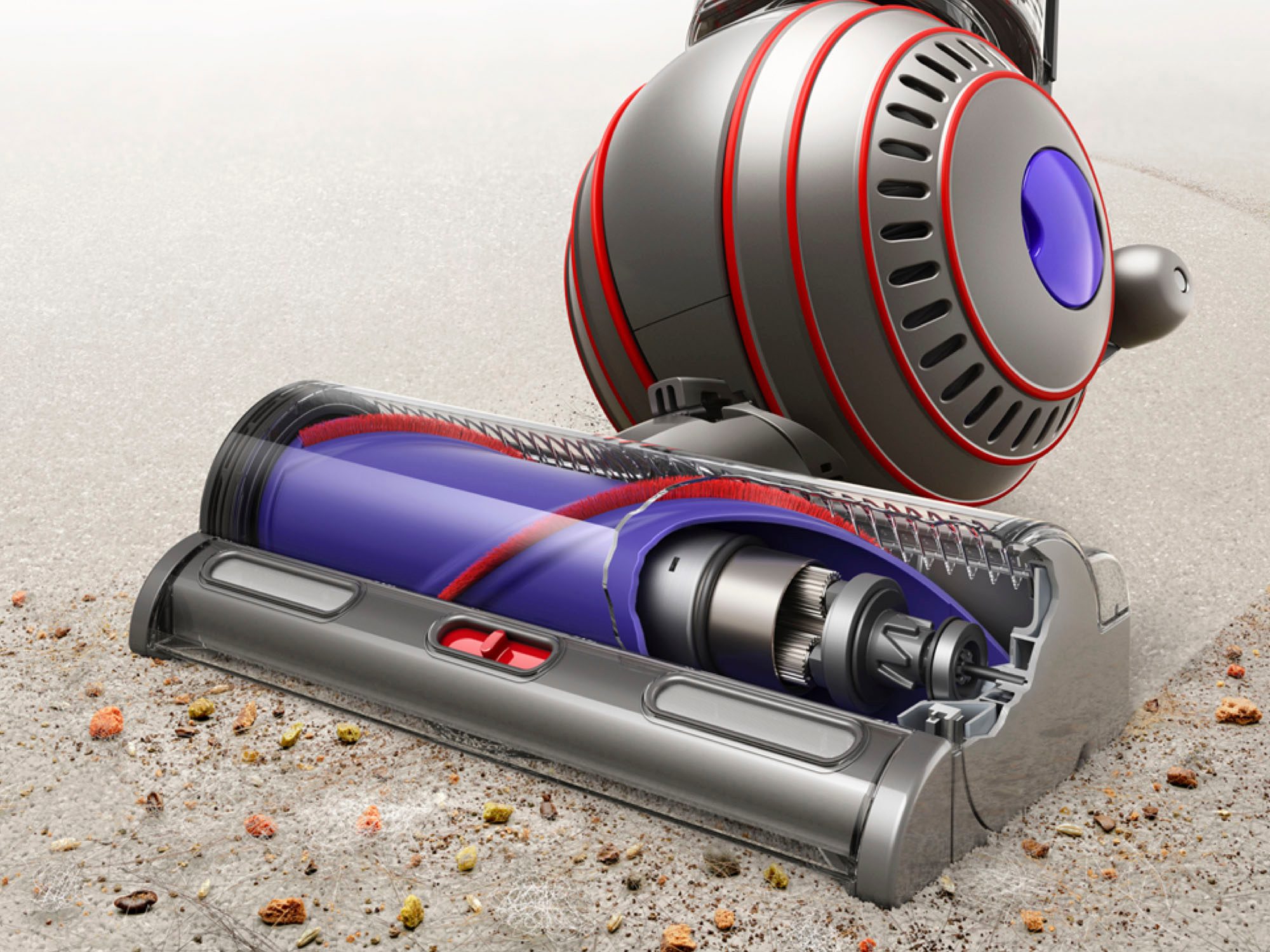 Dyson Ball Animal 3 sucking up crumbs from a dirty carpet.