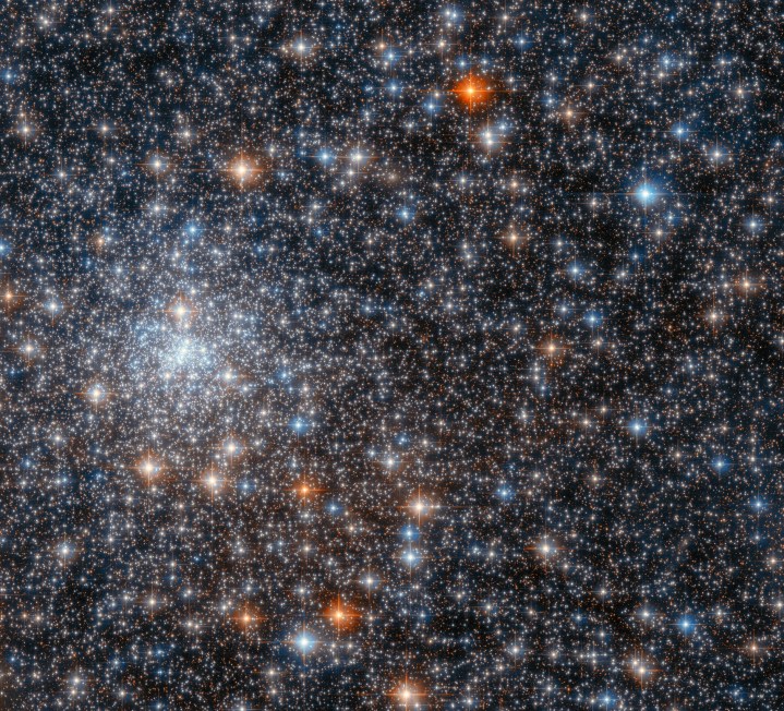 Este brilhante encontro de estrelas é o aglomerado globular NGC 6558, e foi capturado pela Advanced Camera for Surveys do Telescópio Espacial Hubble da NASA/ESA.  NGC 6558 está mais perto do centro da Via Láctea do que a Terra, e fica a cerca de 23.000 anos-luz de distância na constelação de Sagitário.