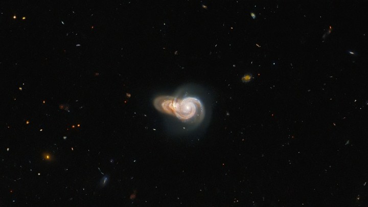The NASA/ESA Hubble Space Telescope imaged these two overlapping spiral galaxies named SDSS J115331 and LEDA 2073461, which lie more than a billion light-years from Earth. Despite appearing to collide in this image, the alignment of the two galaxies is likely just by chance – the two are not actually interacting. While these two galaxies might simply be ships that pass in the night, Hubble has captured a dazzling array of other, truly interacting galaxies.