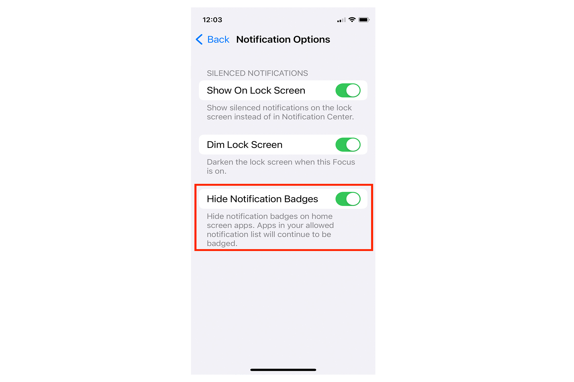Opción Ocultar insignias de iOS 16.
