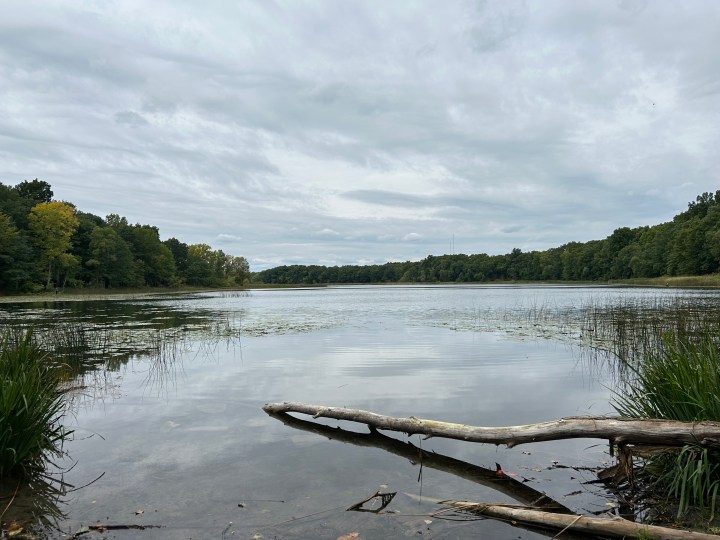 صورة لبحيرة ، التقطها iPhone 14