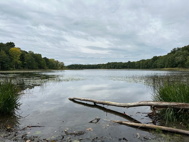 Una foto di un lago, scattata da iPhone 14 Pro.