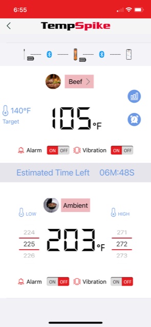 Temperaturmessung in der TempSpike-App.