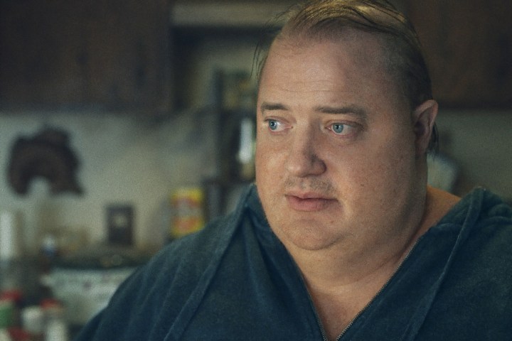 Brendan Fraser looks to his side in The Whale.