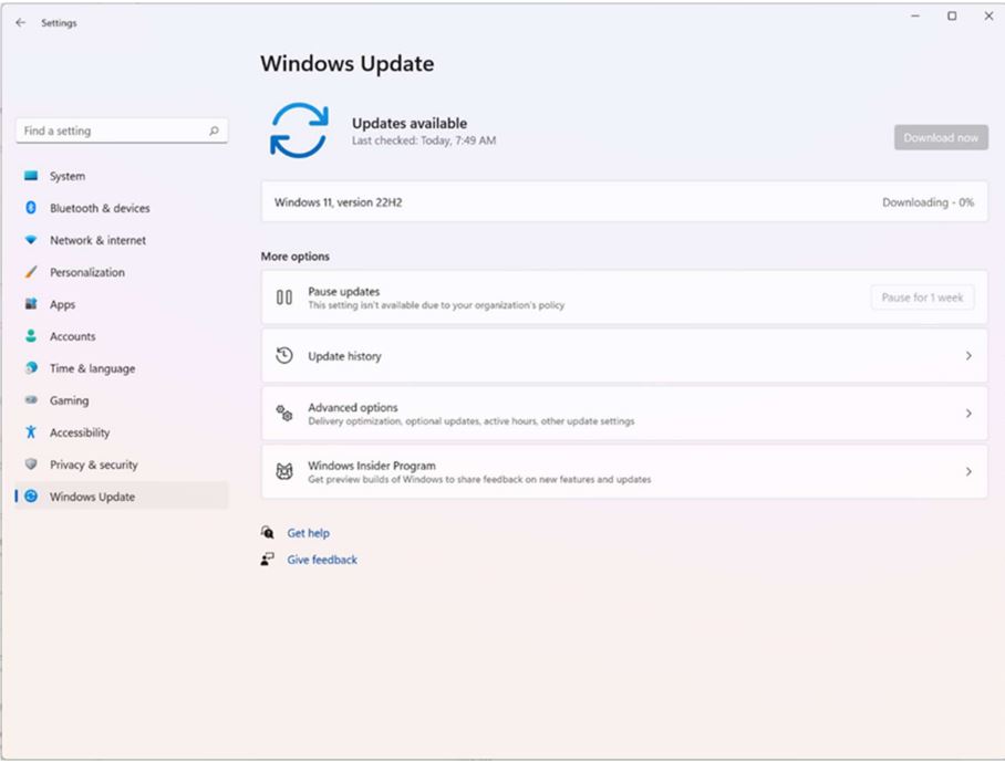 Windows 11 version 22h2 update.