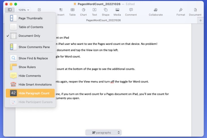 Hide Paragraph Count in the Pages View menu on Mac.