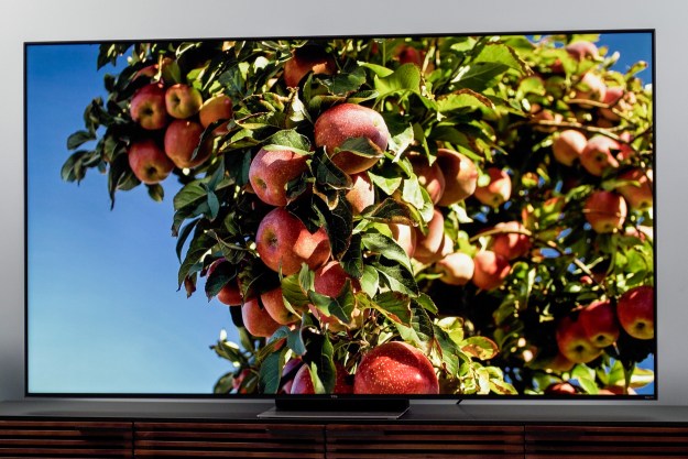 TCL 6-Series TV displaying colorful image of an apple tree against a blue sky background.
