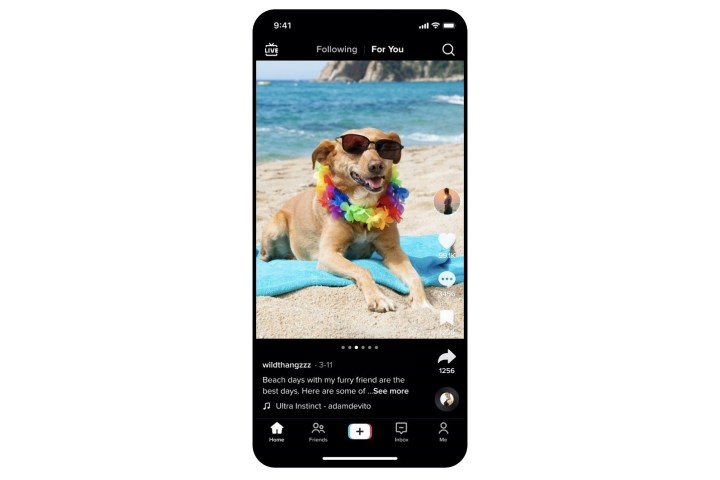 Smartphone with photo mode of Tiktok on white background.