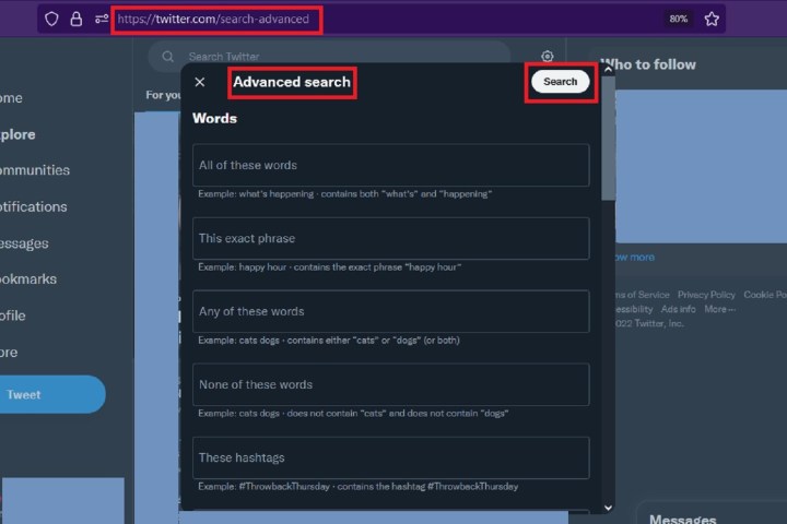 The Twitter Advanced Search form on desktop web.