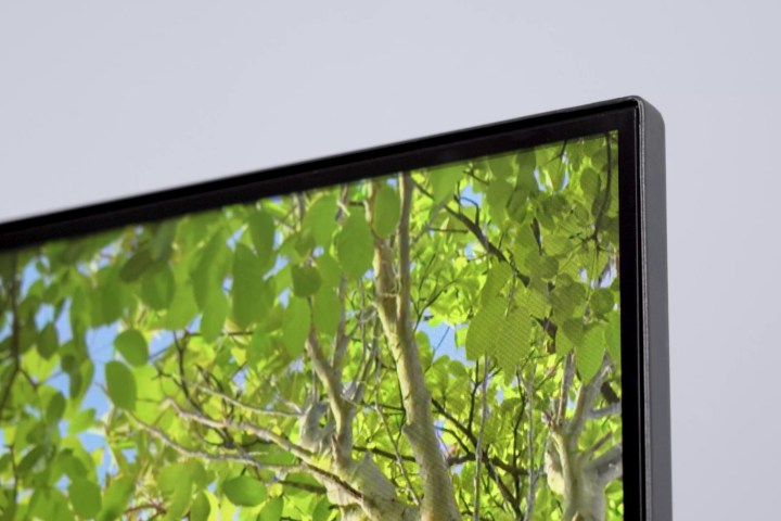 Primo piano della cornice dell'angolo superiore del televisore Vizio M-Series Quantum X con alberi a foglia verde sul display.