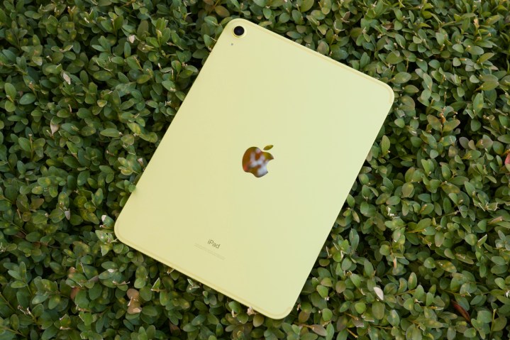 L'iPad giallo (2022) giace a faccia in giù su un cespuglio verde.