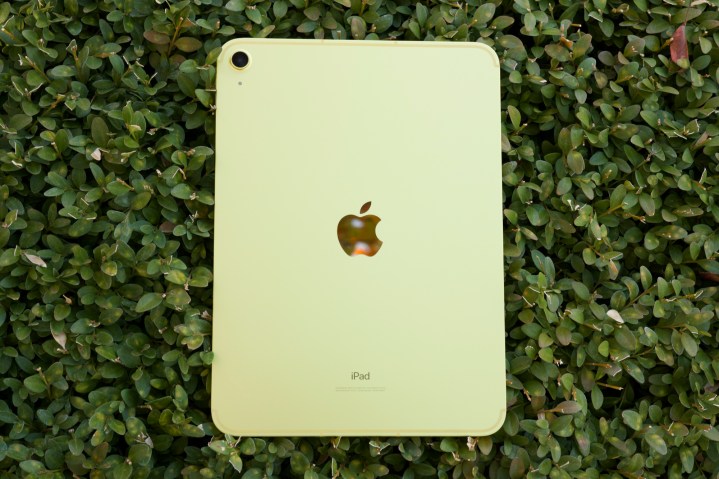 El iPad amarillo (2022) tumbado boca abajo sobre un arbusto verde.