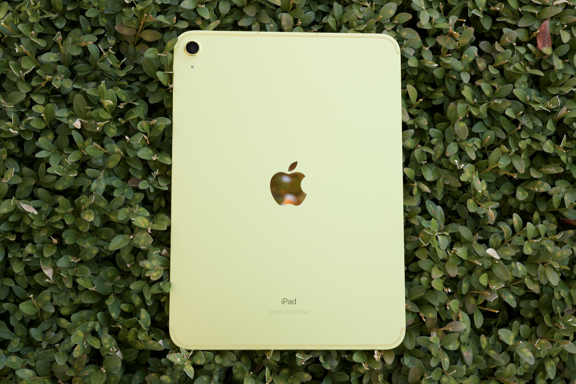 Apple may announce new iPads next month. Here's everything we expect - Vimarsana News