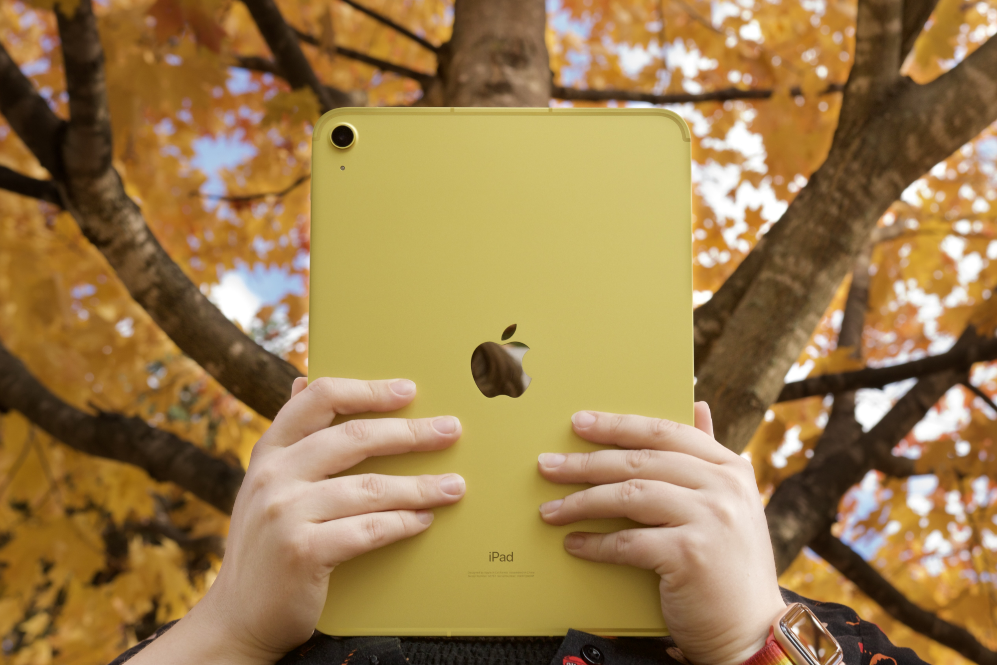 Alguém segurando o iPad amarelo (2022) na frente de árvores com folhas laranja e amarelas.