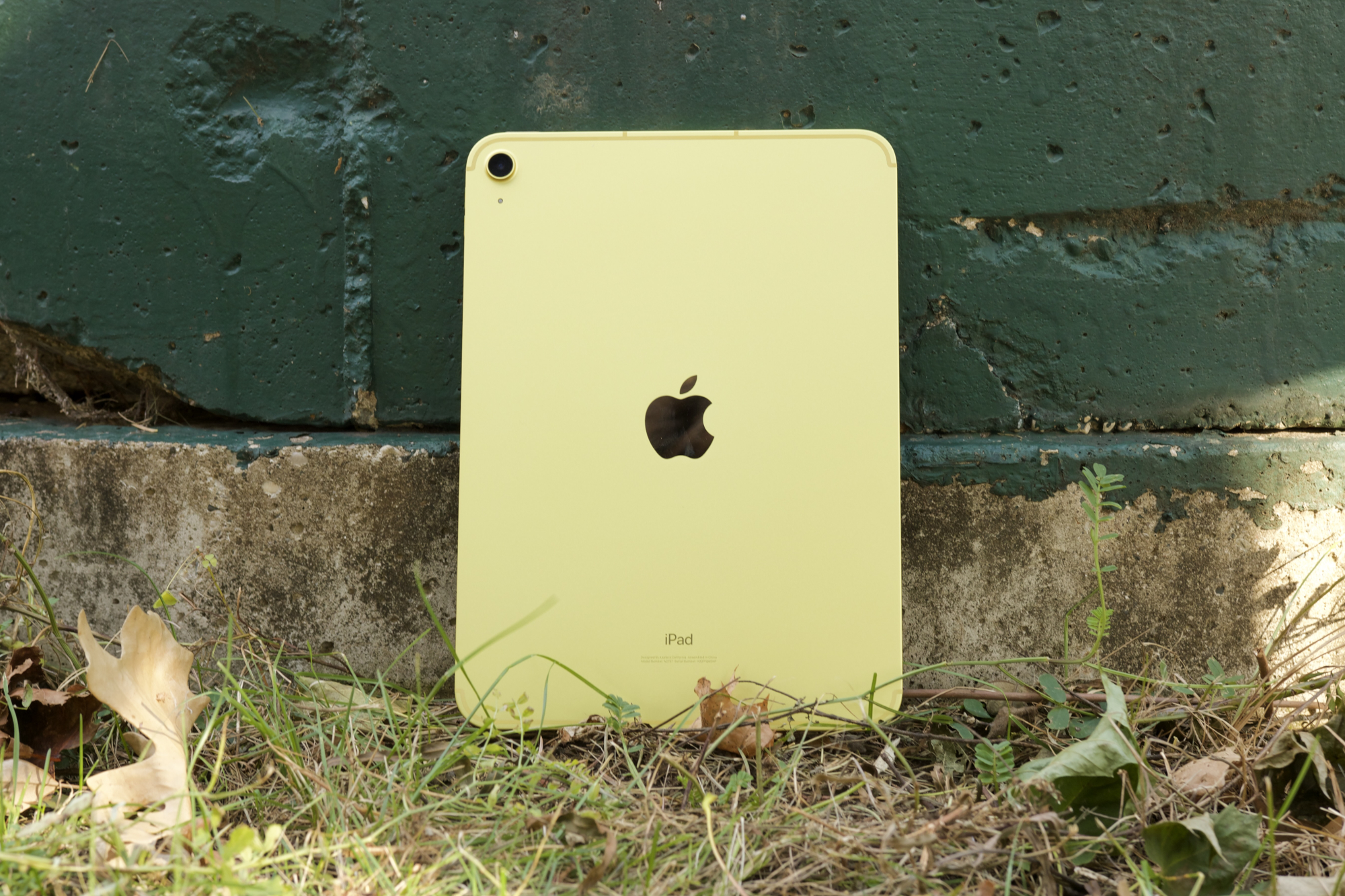 iPad (2022) در رنگ زرد خود.