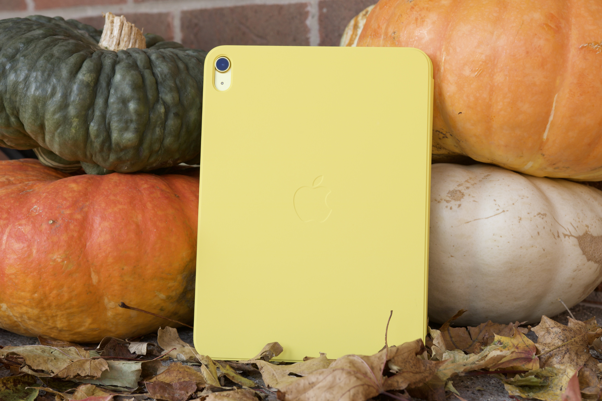 These popular iPad models are heavily discounted right now - Vimarsana News