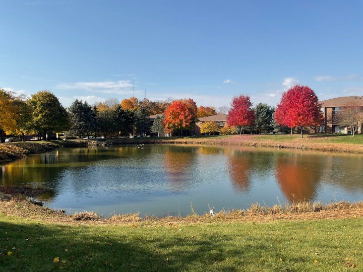 Una foto di un piccolo laghetto e alberi con foglie color autunno, scattata con l'iPad (2022).