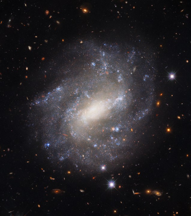 La Cámara de Campo Amplio 3 del Telescopio Espacial Hubble de NASA/ESA capturó esta galaxia espiral solitaria llamada UGC 9391. La galaxia está ubicada a 130 millones de años luz de la Tierra en la constelación de Draco cerca del polo norte celeste.  Sus brazos espirales repletos de estrellas se alzan en un espléndido aislamiento contra un fondo de galaxias distantes, visibles solo como remolinos o manchas borrosas gracias a sus grandes distancias de la Tierra. 