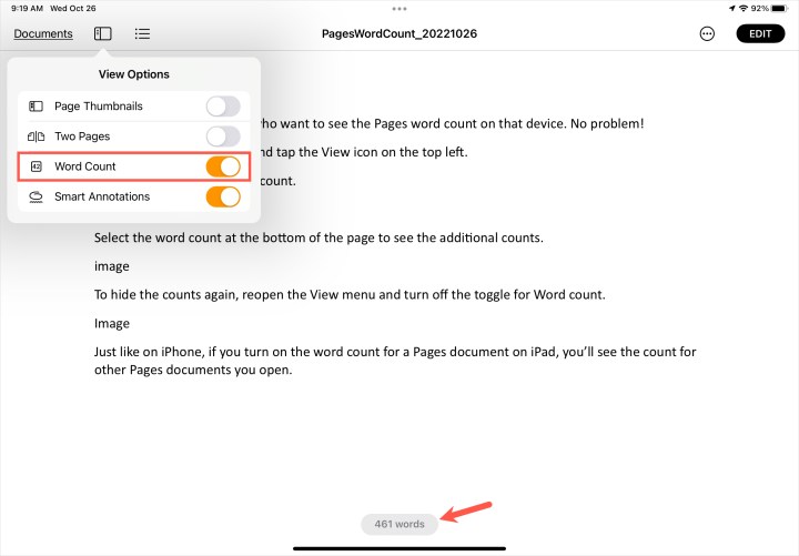 Word Count toggle on in the Pages View menu on iPad.