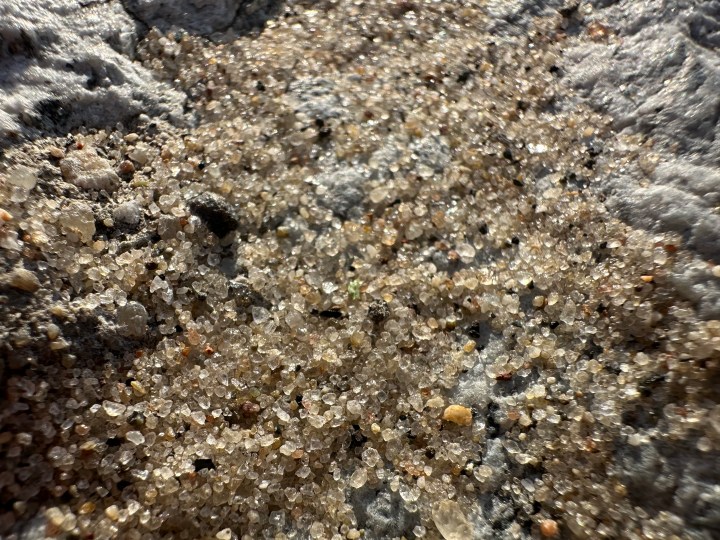 Foto macro di sabbia su una spiaggia, scattata con iPhone 14 Pro.