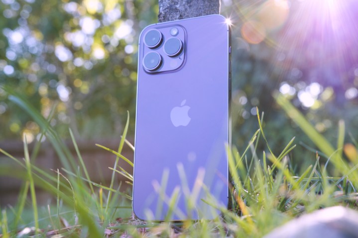 iPhone 14 Pro Max in piedi contro un albero.