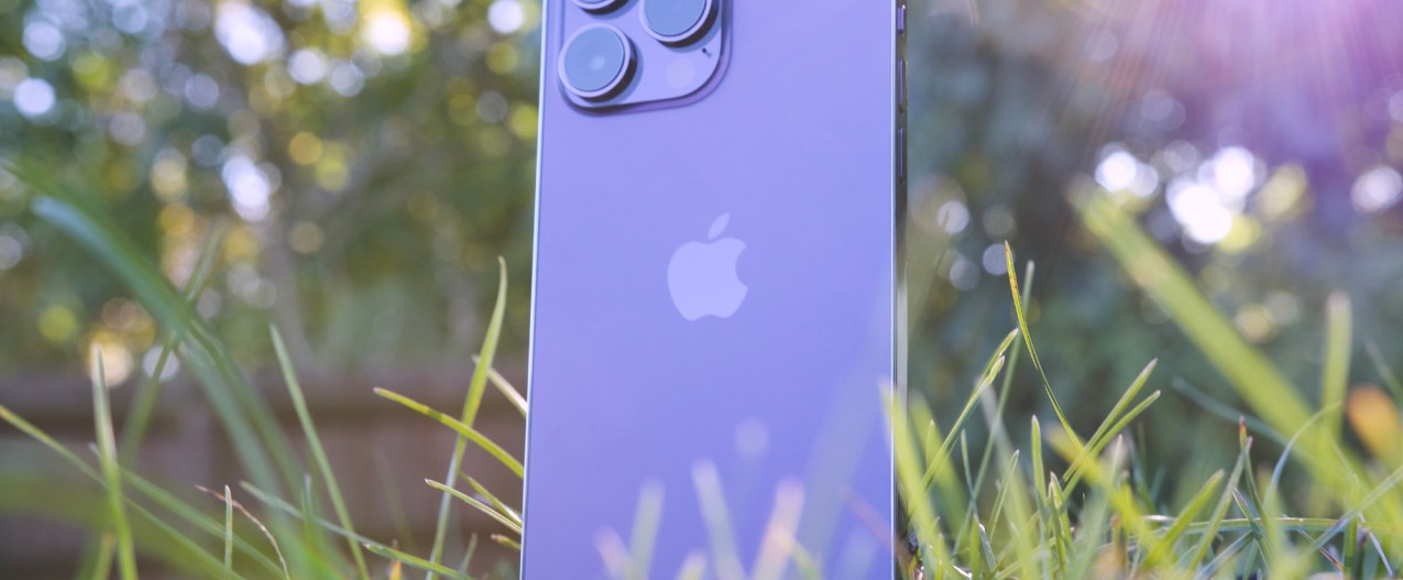 iPhone 14 Pro Max standing against a tree.