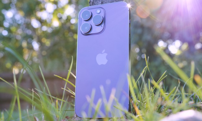 iPhone 14 Pro Max standing against a tree.