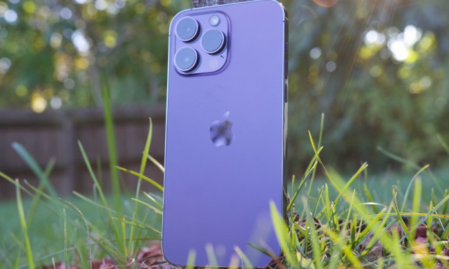 The iPhone 14 Pro Max standing against a tree outside.