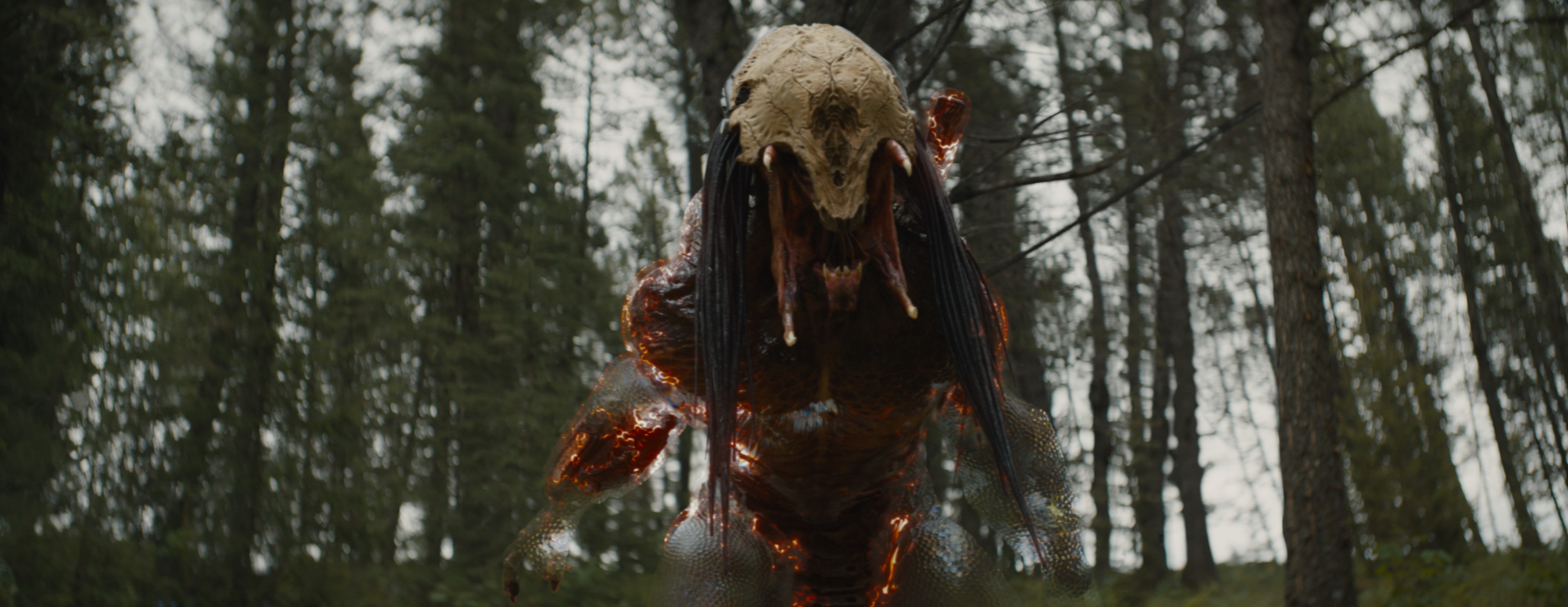 Uma cena do Predator se desmanchando em uma cena de Prey, depois que os efeitos visuais são aplicados.