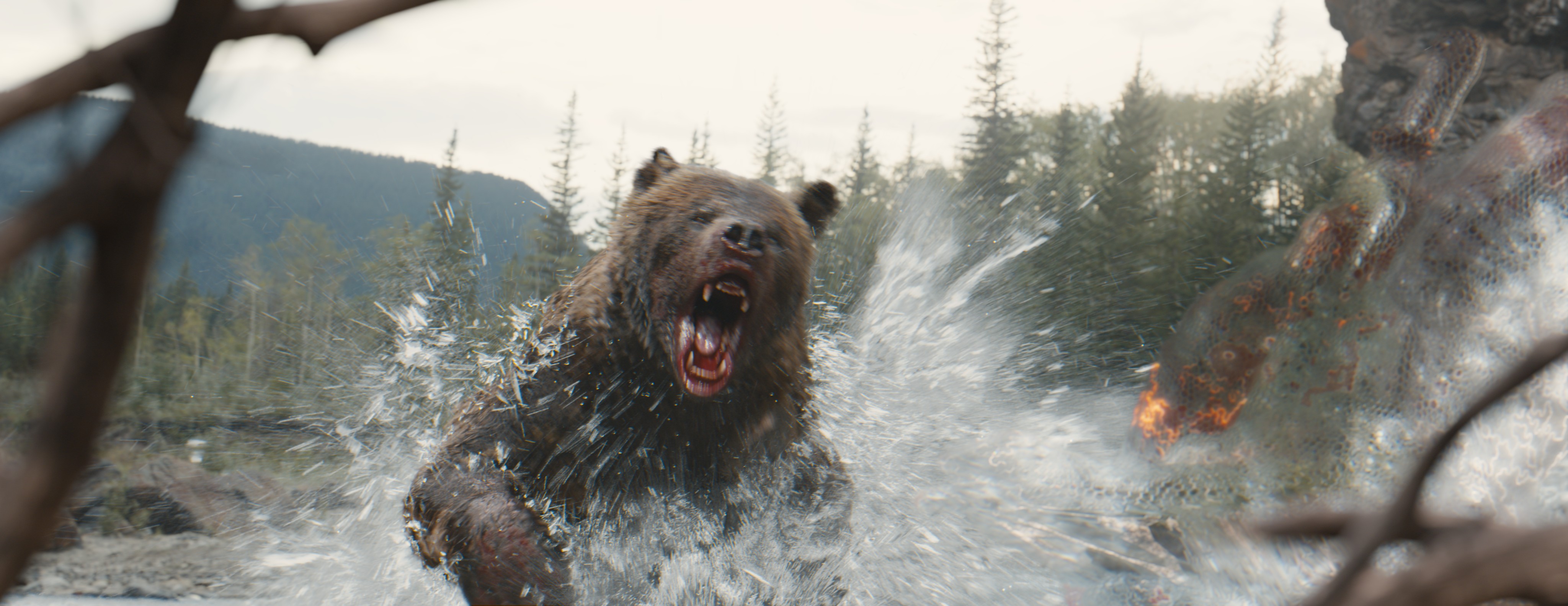Um urso correndo pela água em direção a um alienígena Predador camuflado em uma cena de Prey.