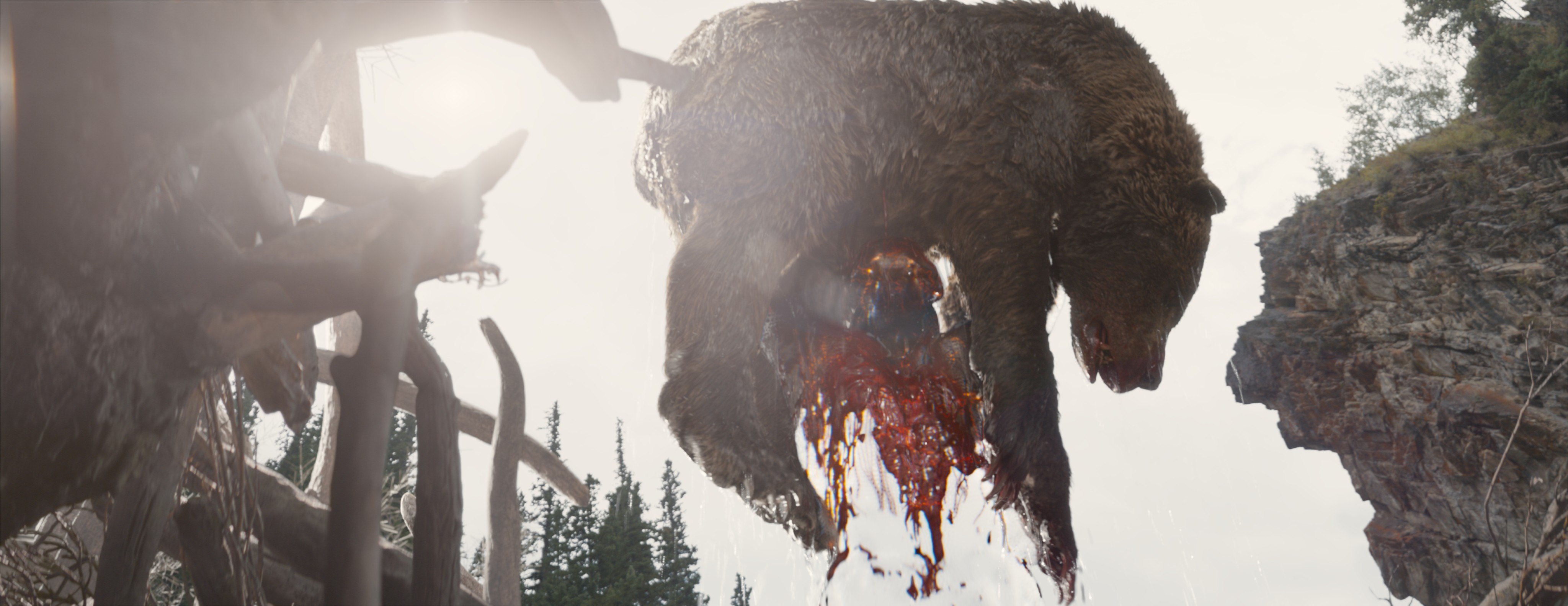 Um alienígena Predator parcialmente camuflado segura um urso morto no ar em uma cena de Prey.