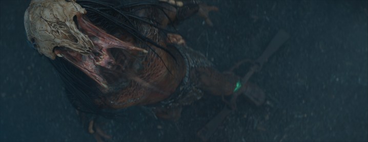 Una toma cenital del depredador rugiente de la película Prey, después de aplicar los efectos visuales.