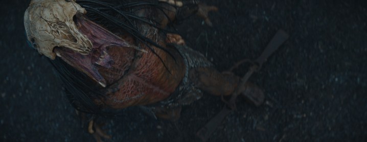 Una toma de cámara aérea del Predator rugiendo de la película Prey, antes de que se apliquen los efectos visuales.