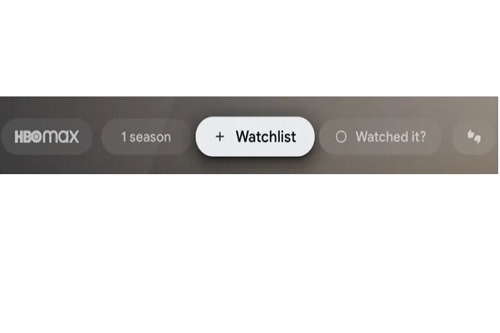 Watchlist option on Android TV.