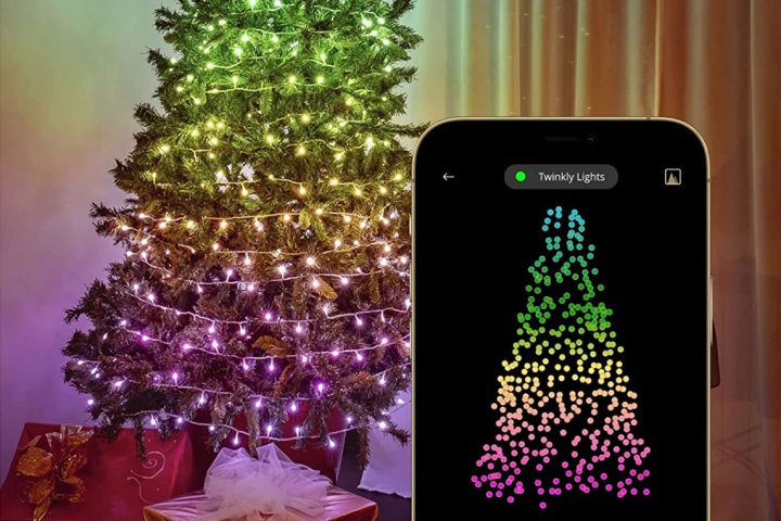 A Twinkly Prelit smart Christmas tree being programmed by smartphone. 