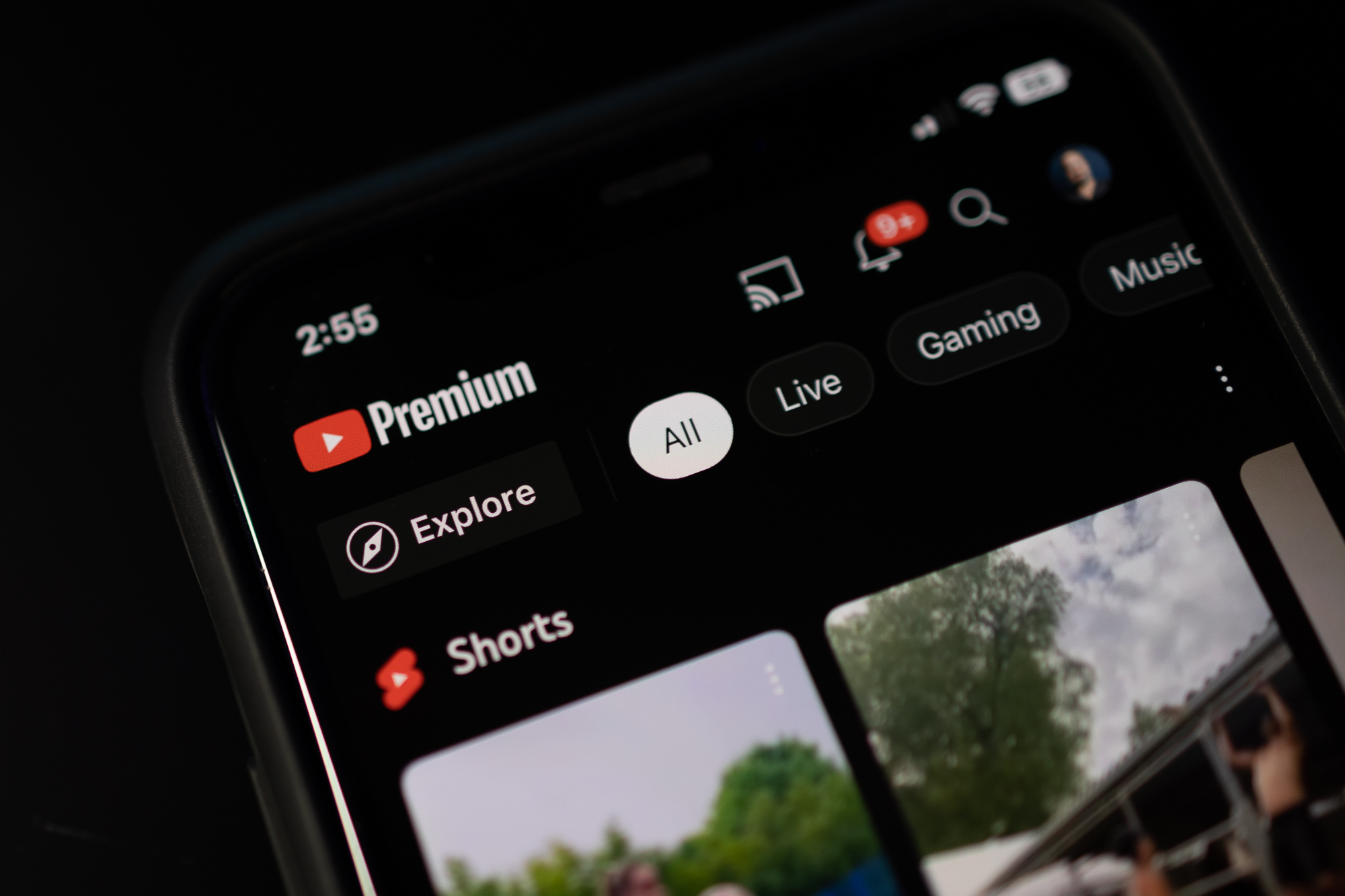 What is  Premium? Price, content, and more