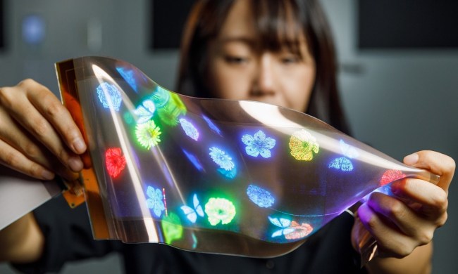 A woman bends and folds LG Display's stretchable display.