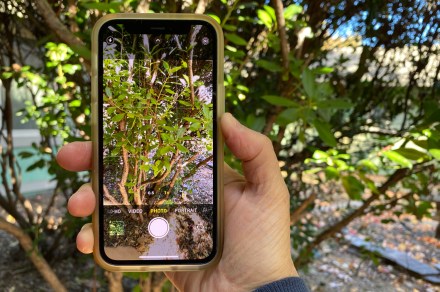 How to turn a Live Photo into a video on your iPhone