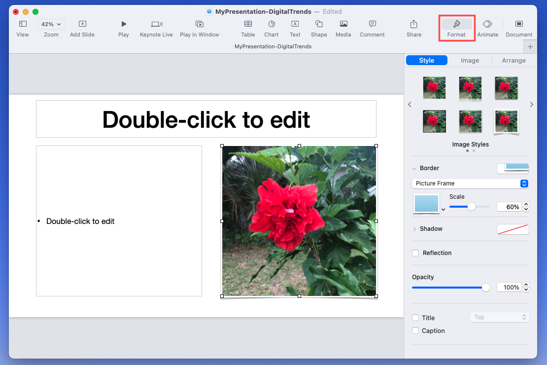 Image Format sidebar in Keynote.