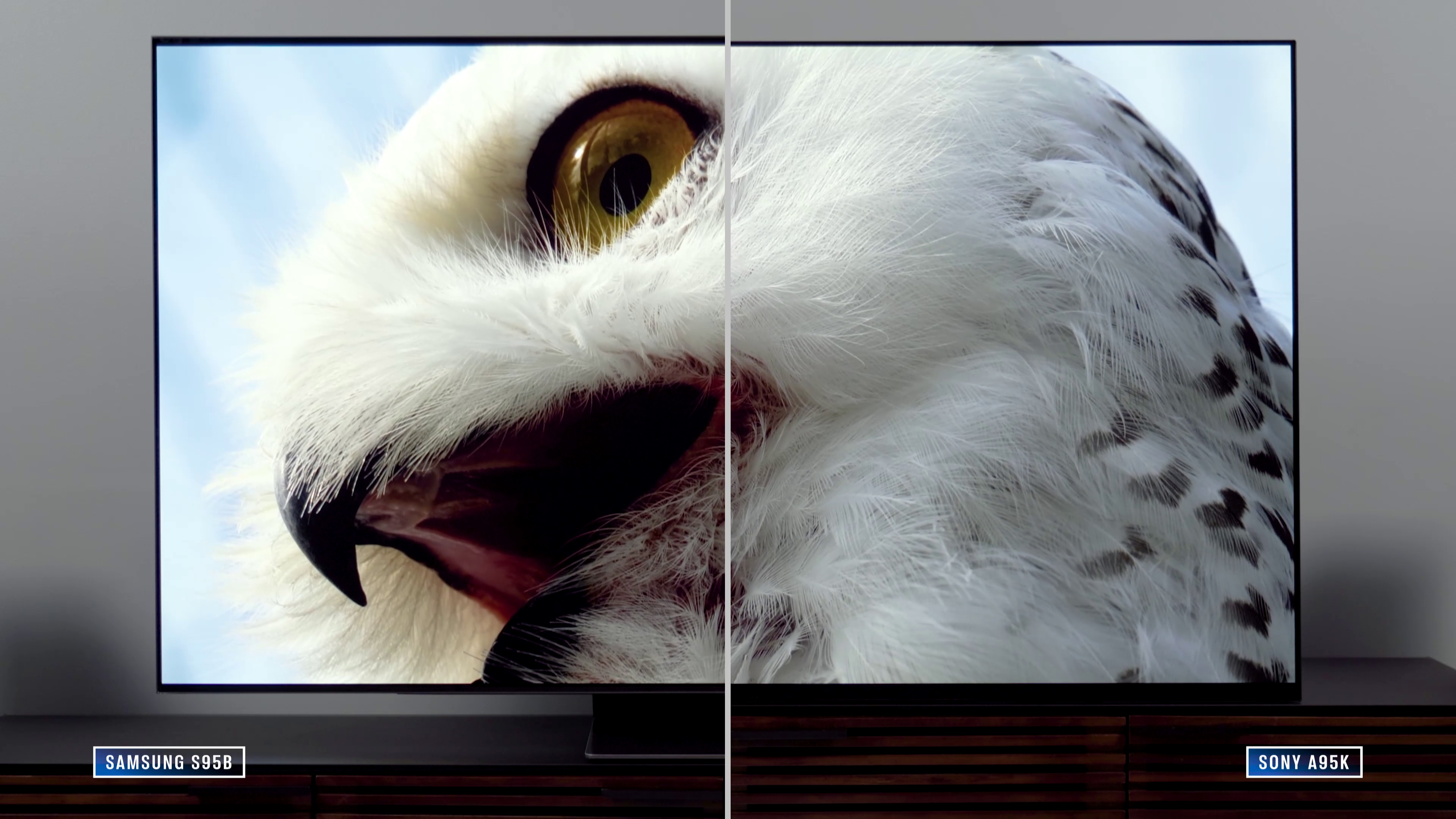 Split screen showing color and brightness differences between two tvs, a white owl on screen