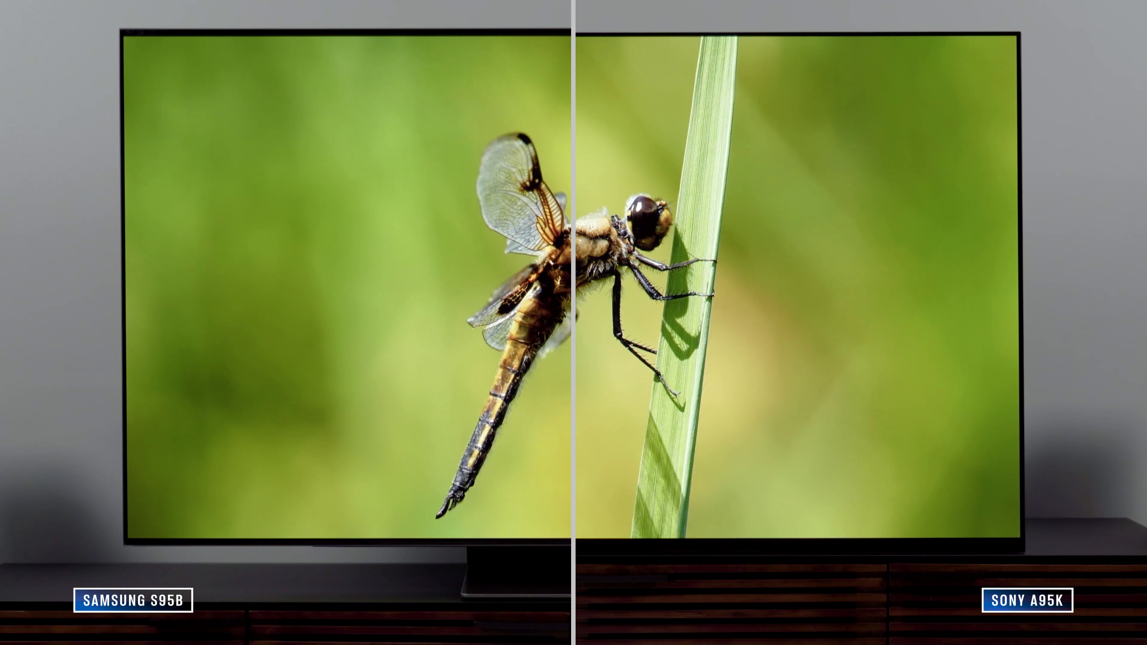 Split screen showing color and brightness differences between two tvs, a green dragonfly on screen