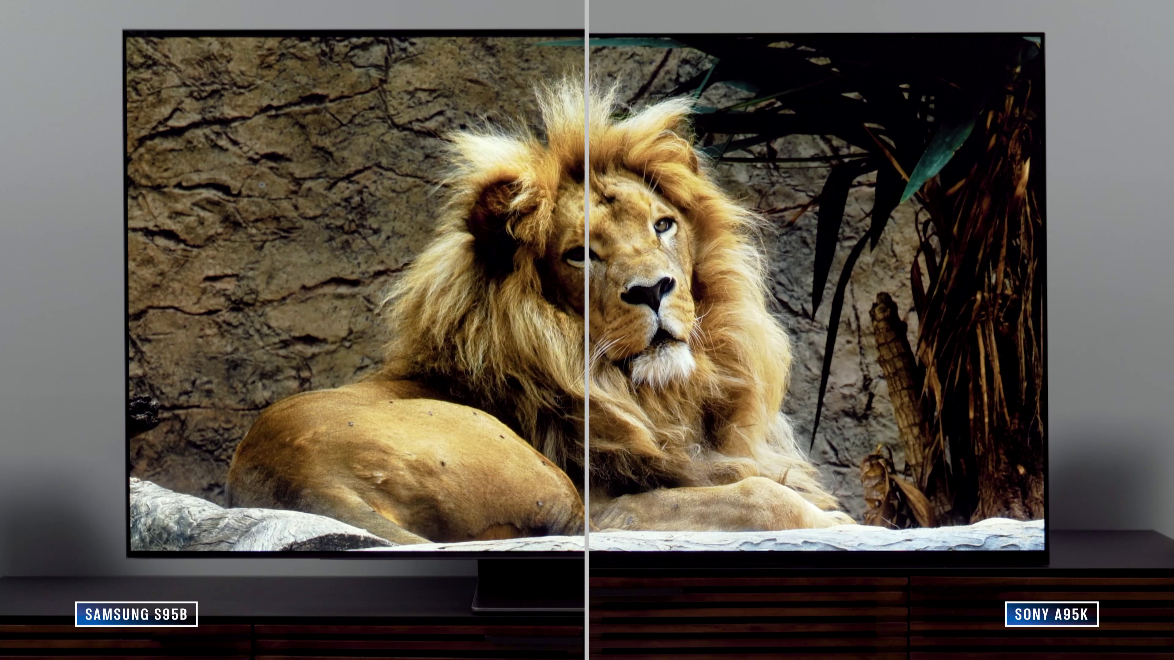 Split screen showing color and brightness differences between two tvs, a lion on screen