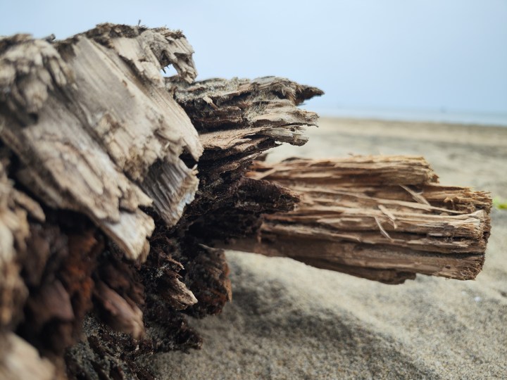 Log of wood on beach sand captured with the Xiaomi 12S Ultra.