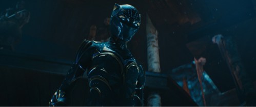 Black Panther gets ready for battle in Black Panther: Wakanda Forever.