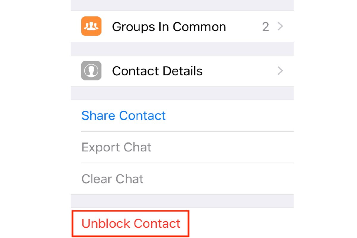 Desbloqueie o contato do WhatsApp iOS.