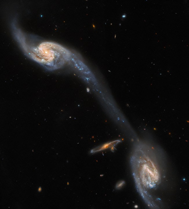 Esta imagen del Telescopio Espacial Hubble de la NASA / ESA muestra dos de las galaxias en el triplete galáctico Arp 248, también conocido como Triplete de Wild, que se encuentra a unos 200 millones de años luz de la Tierra en la constelación de Virgo. Las dos grandes galaxias espirales visibles en esta imagen, que flanquean una galaxia espiral de fondo más pequeña y no relacionada, aparecen conectadas por un puente luminoso. Esta corriente alargada de estrellas y polvo interestelar se conoce como cola de marea, y se formó por la atracción gravitacional mutua de las dos galaxias en primer plano.
